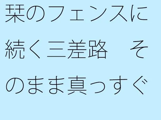 栞のフェンスに続く三差路 そのまま真っすぐ