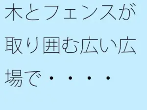 木とフェンスが取り囲む広い広場で・・・・