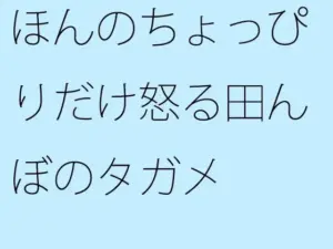 ほんのちょっぴりだけ怒る田んぼのタガメ