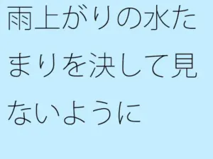 雨上がりの水たまりを決して見ないように