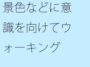 景色などに意識を向けてウォーキング